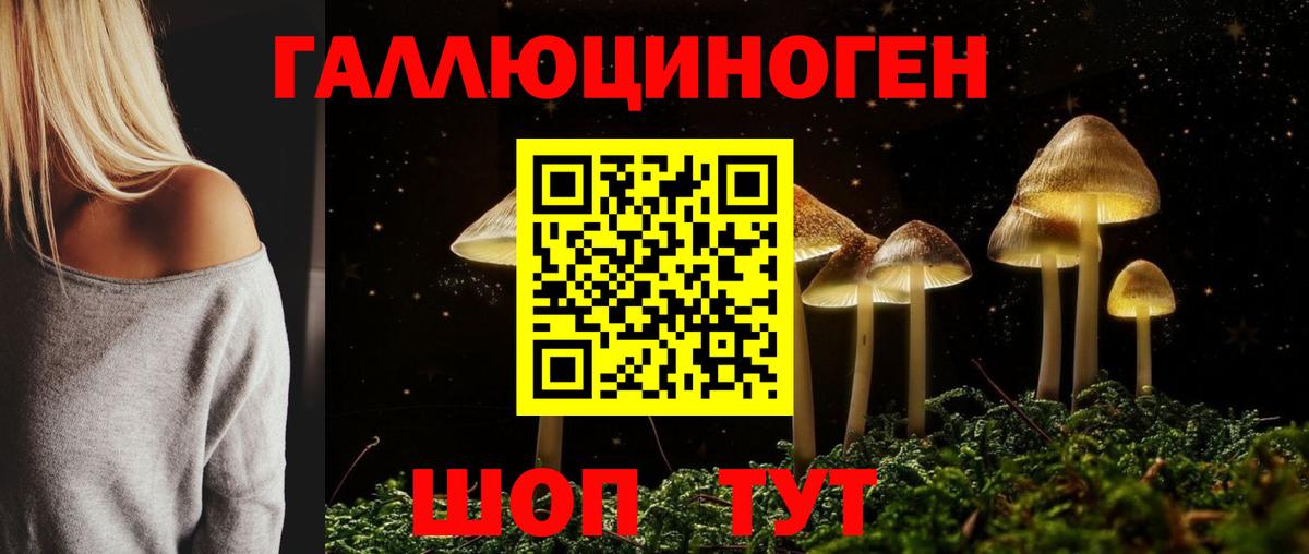 Галлюциногенные грибы Psilocybe  Вход с VPN  Брянск 