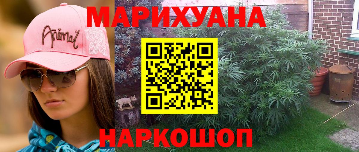 МАРИХУАНА Ganja  Бошки марихуана планчик  Вход с VPN  Бошки марихуана тримм  Брянск 